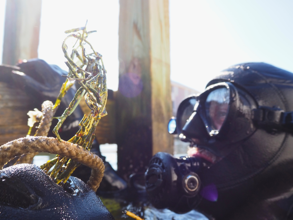 Rope and Line Removal